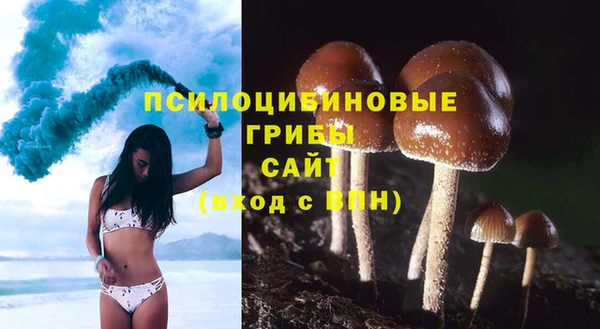 mdpv Баксан