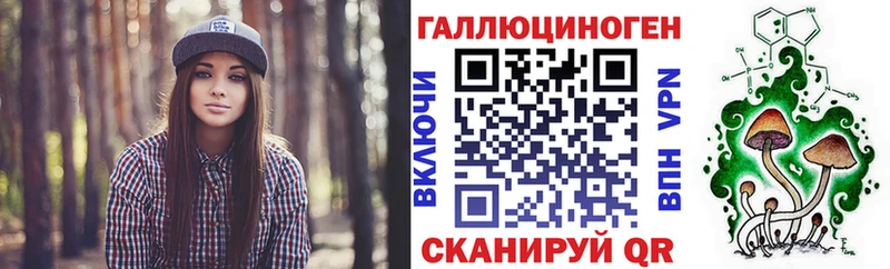 kraken как зайти  Гремячинск  Галлюциногенные грибы Cubensis 